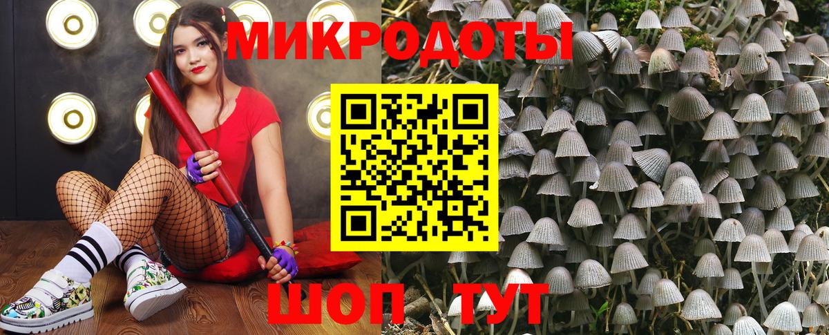 как найти закладки  Вход с VPN  Зеленодольск  Галлюциногенные грибы прущие грибы 