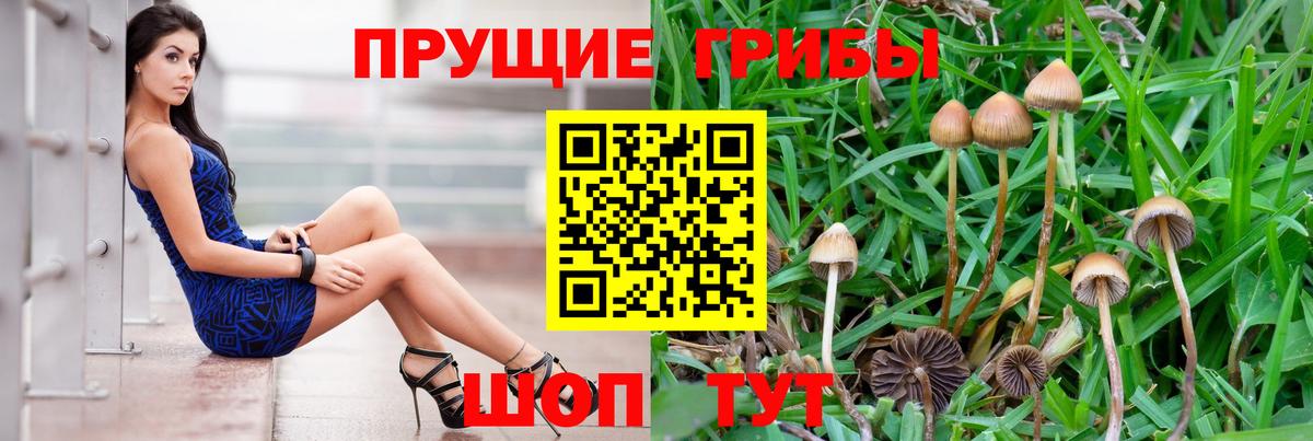 Псилоцибиновые грибы прущие грибы Зеленодольск
